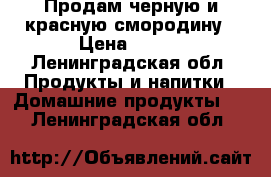 Продам черную и красную смородину › Цена ­ 180 - Ленинградская обл. Продукты и напитки » Домашние продукты   . Ленинградская обл.